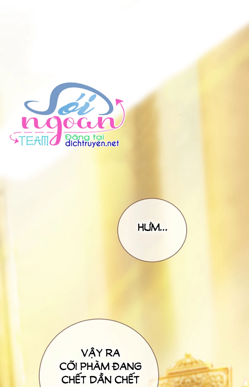 Nàng Persephone Và Chàng Hades Chapter 10 - 16