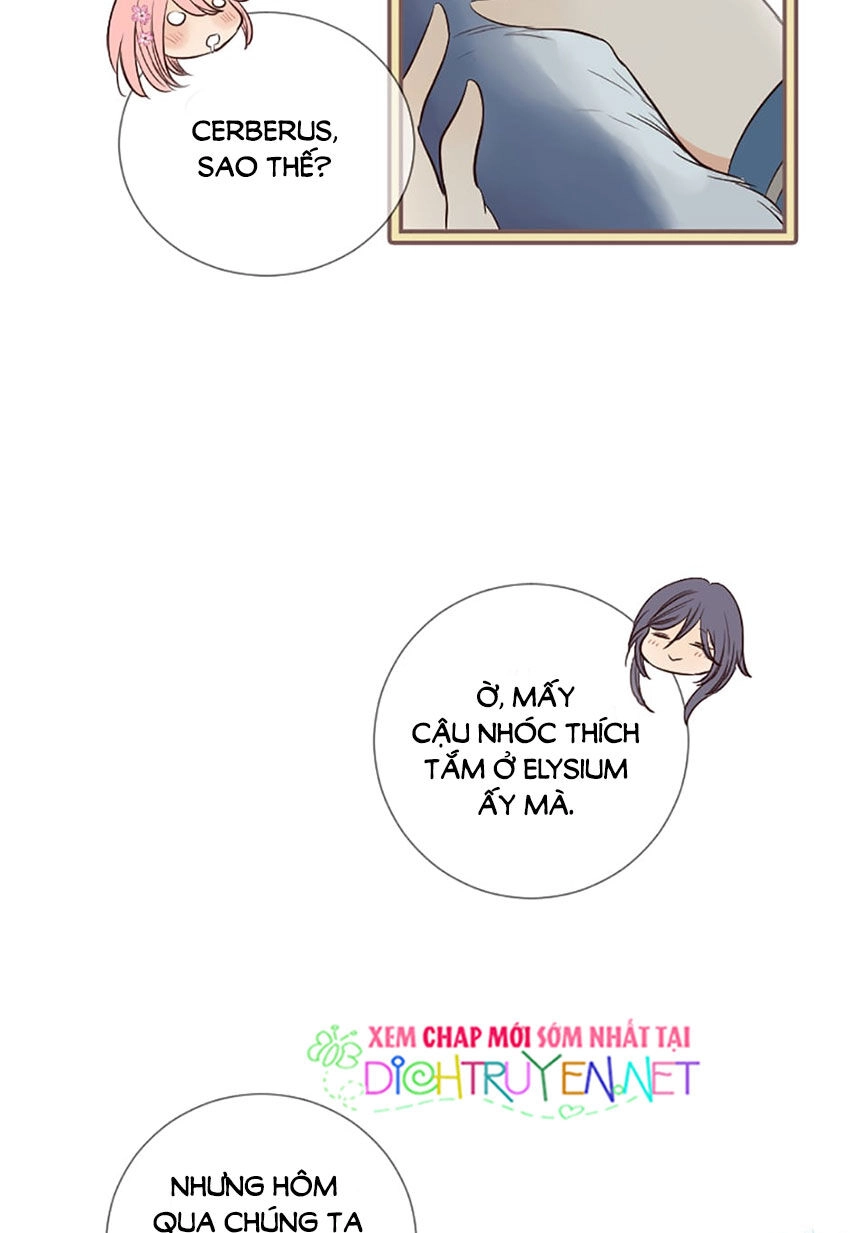 Nàng Persephone Và Chàng Hades Chapter 11 - 13