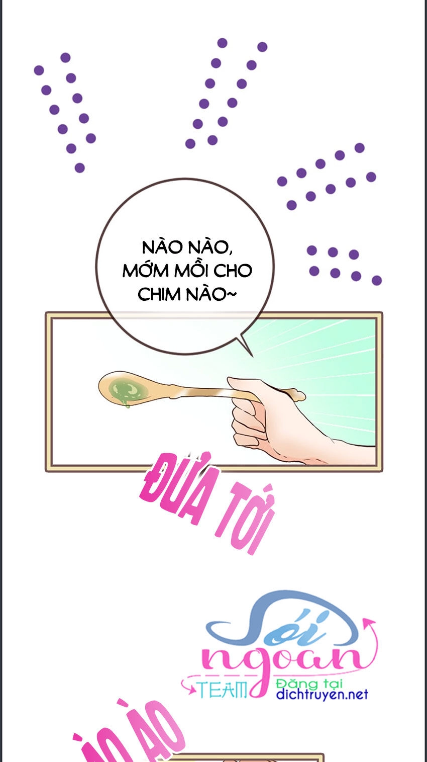 Nàng Persephone Và Chàng Hades Chapter 19 - 28