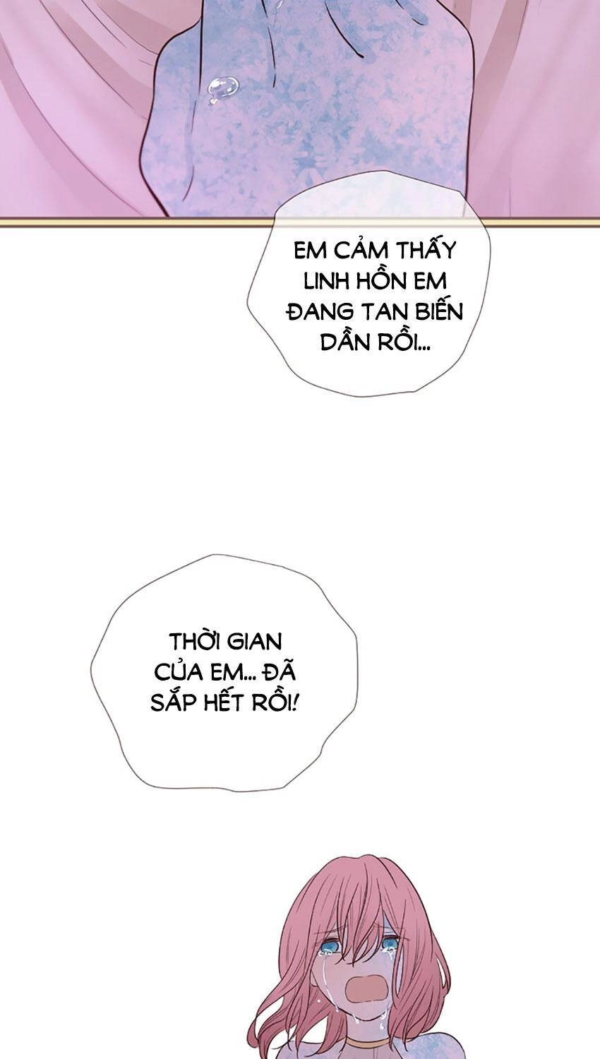 Nàng Persephone Và Chàng Hades Chapter 24 - 12