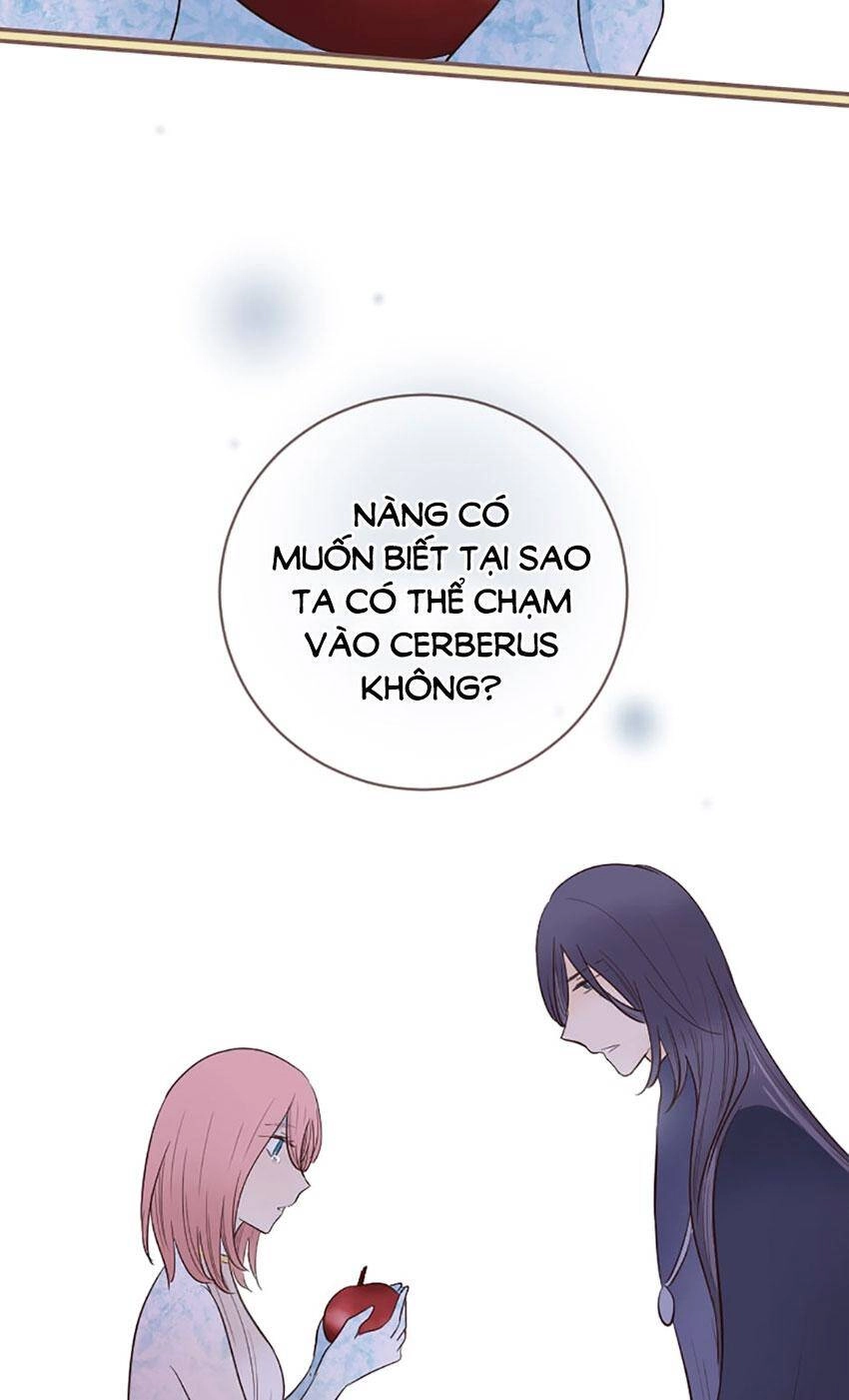 Nàng Persephone Và Chàng Hades Chapter 24 - 17