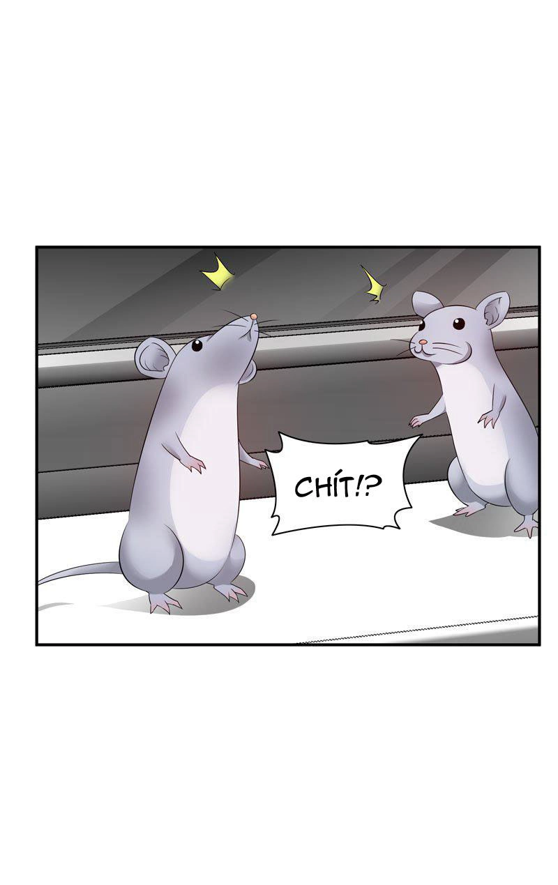 Thủ Hội Chi Vũ Chapter 20 - 26