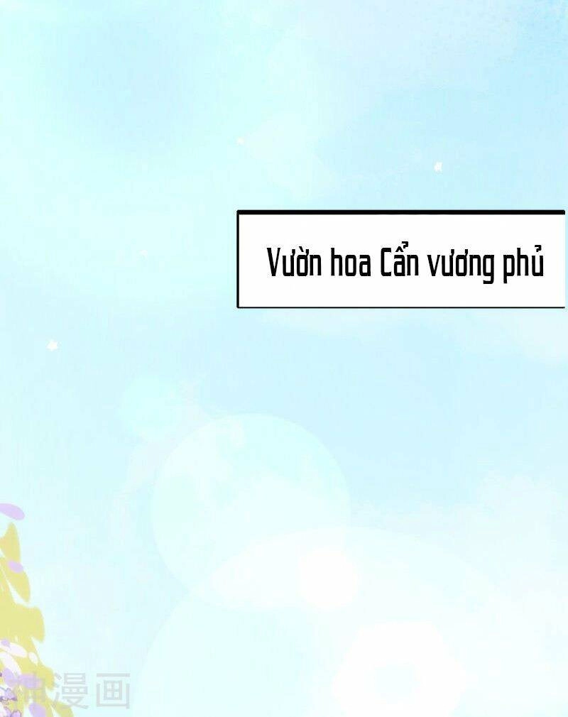 Đọc Tâm Cuồng Phi Khuynh Thiên Hạ Chapter 75 - 4