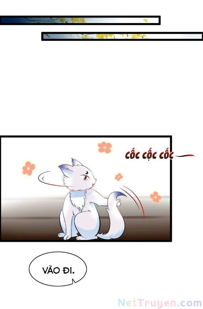 Nghịch Đồ Tại Thượng Chapter 36 - 19