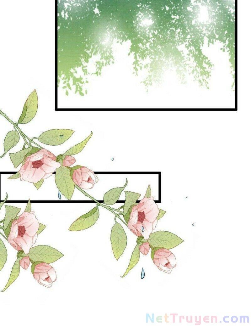 Nghịch Đồ Tại Thượng Chapter 43 - 3