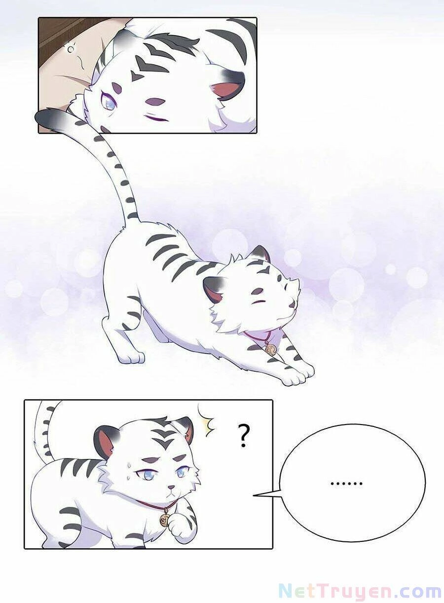 Lầu Trà Thủy Sinh Mộng Chapter 23 - 11