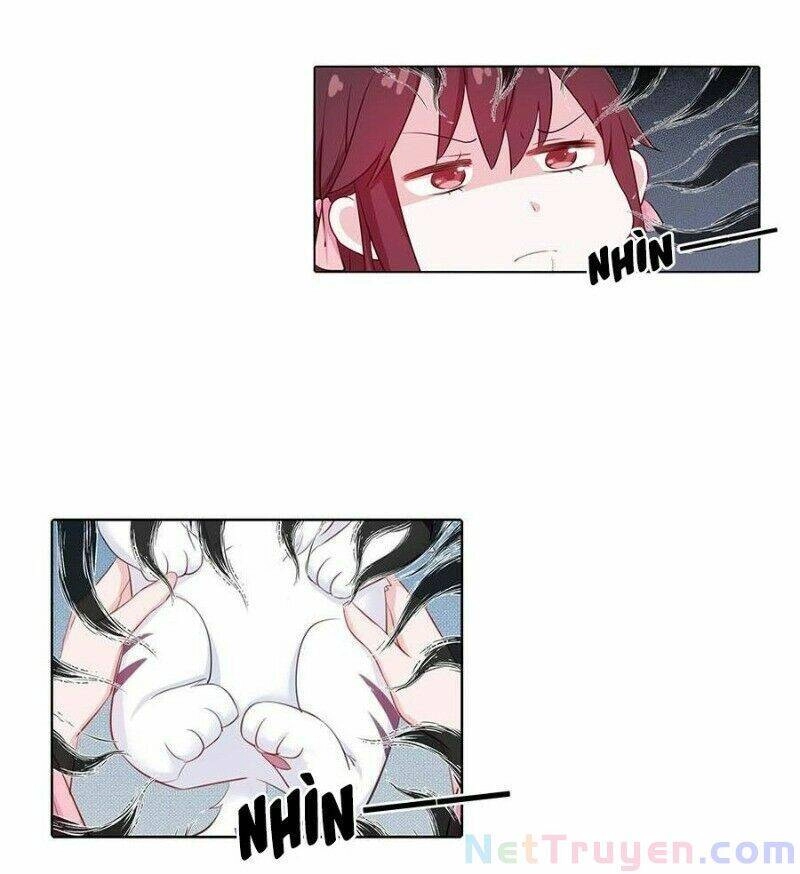 Lầu Trà Thủy Sinh Mộng Chapter 23 - 18