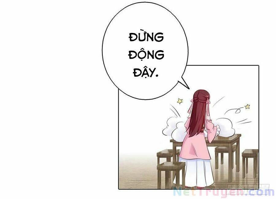 Lầu Trà Thủy Sinh Mộng Chapter 23 - 19