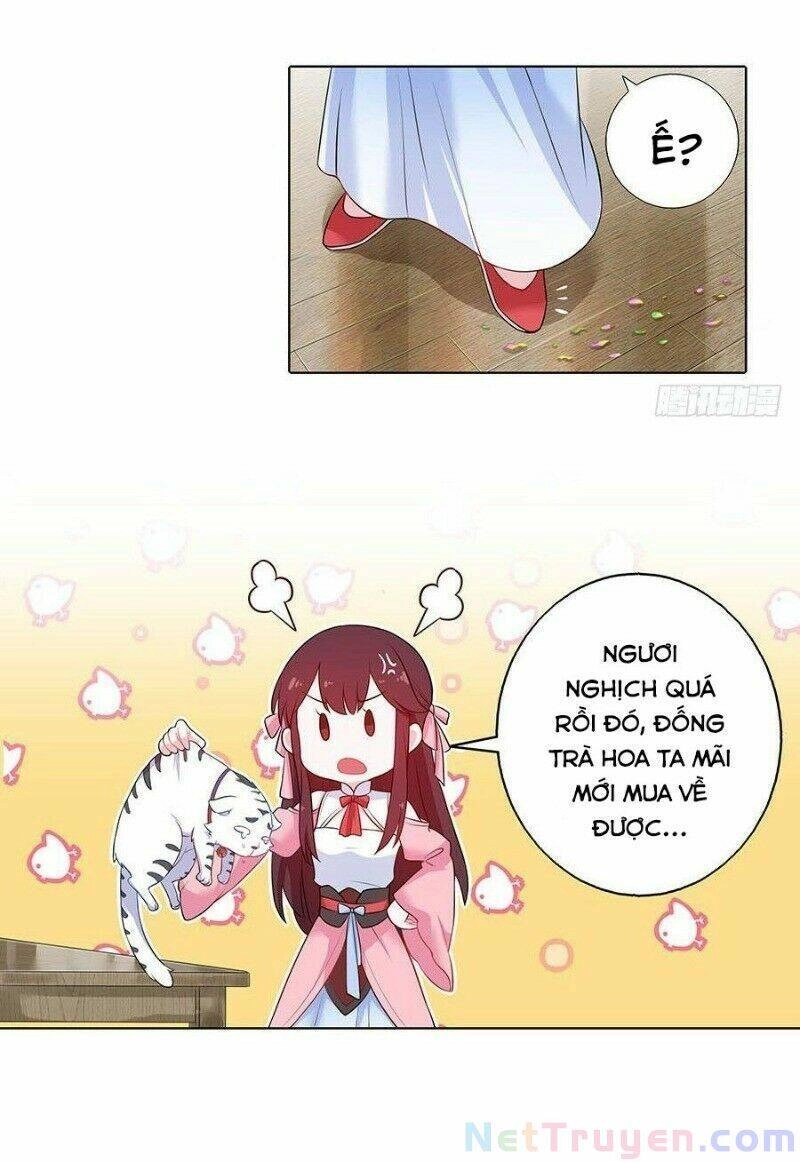 Lầu Trà Thủy Sinh Mộng Chapter 23 - 24