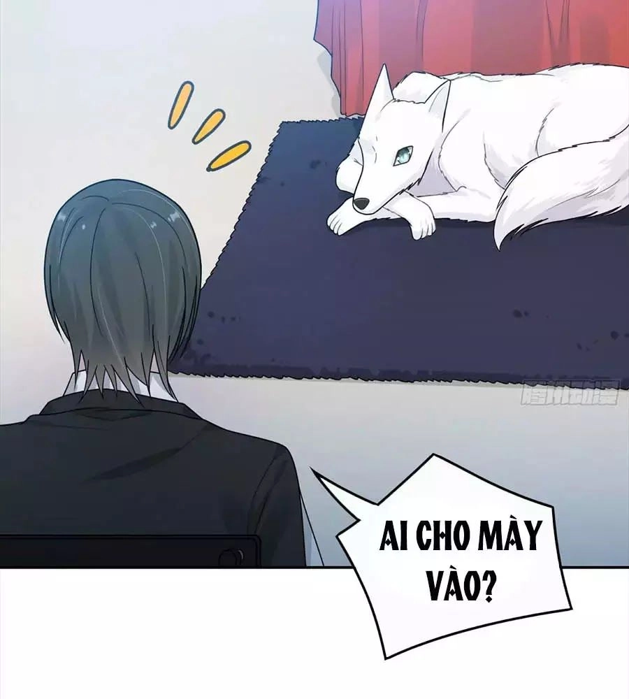 Hai Cách Tìm Gặp Người Yêu Chapter 43 - 46