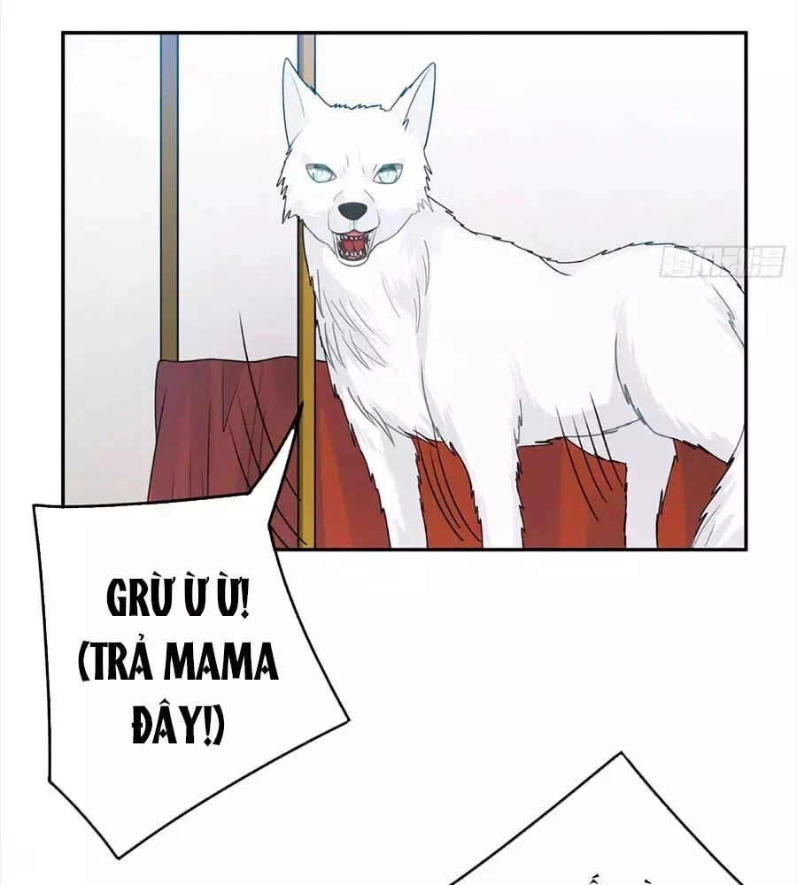 Hai Cách Tìm Gặp Người Yêu Chapter 43 - 48