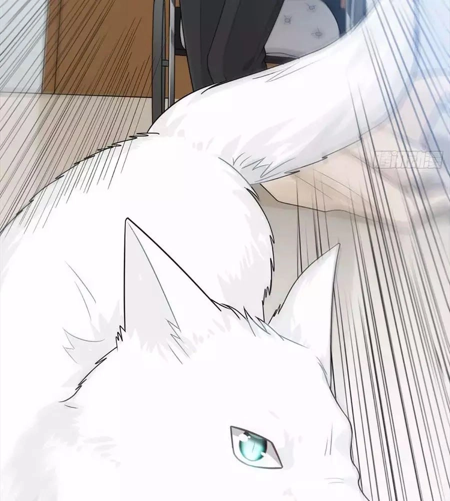 Hai Cách Tìm Gặp Người Yêu Chapter 43 - 55