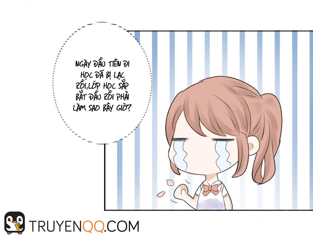 Trùm Trường, Chúng Ta Không Thích Hợp Chapter 1 - 7