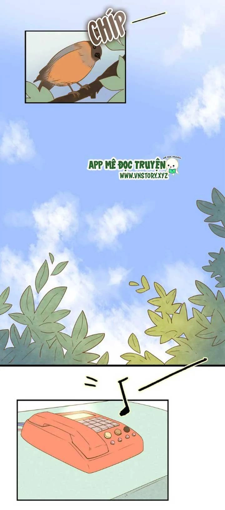 Cạm Bẫy Ngọt Ngào Chapter 21 - 28