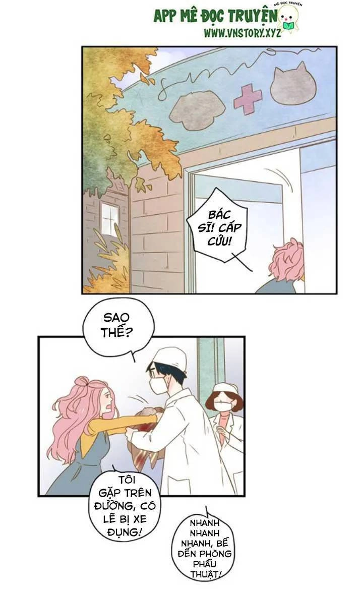 Cạm Bẫy Ngọt Ngào Chapter 24 - 17