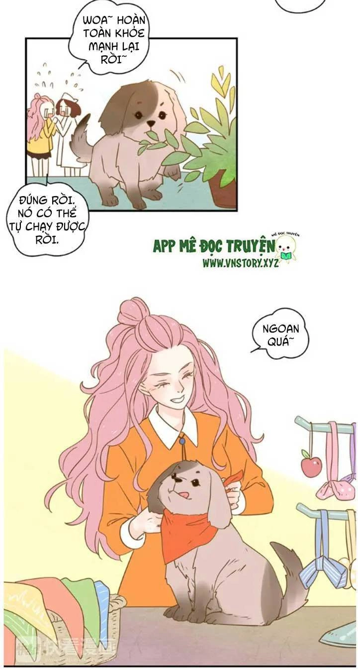 Cạm Bẫy Ngọt Ngào Chapter 24 - 24