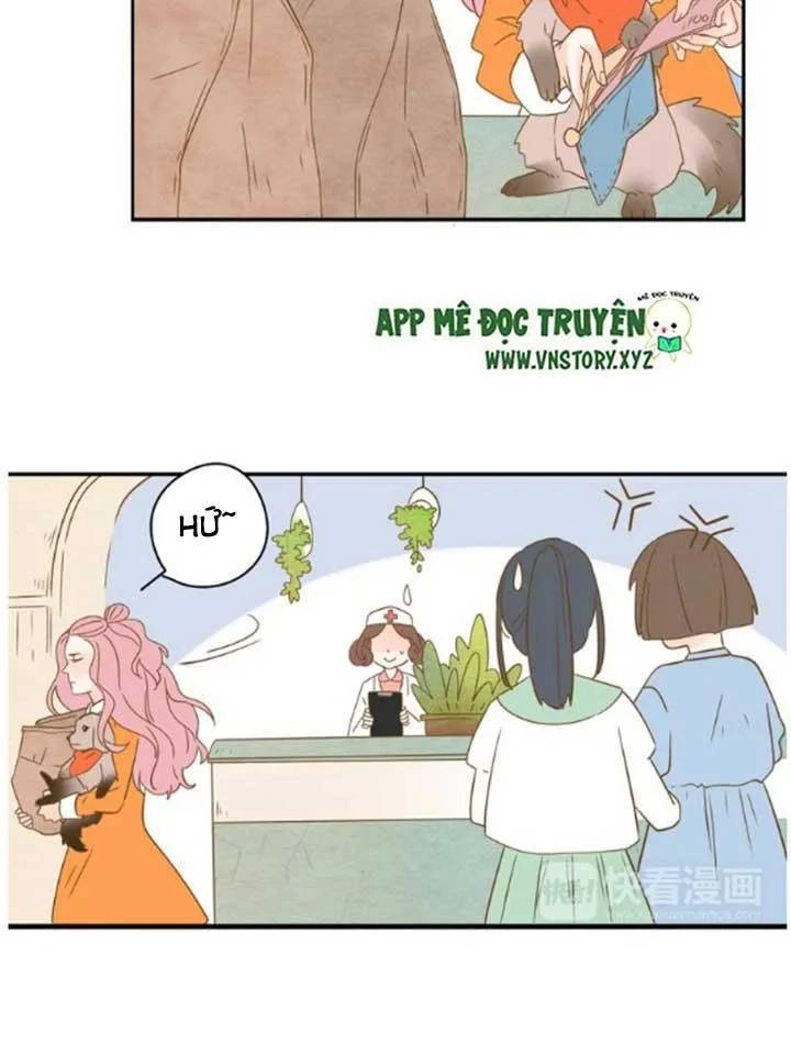 Cạm Bẫy Ngọt Ngào Chapter 24 - 29