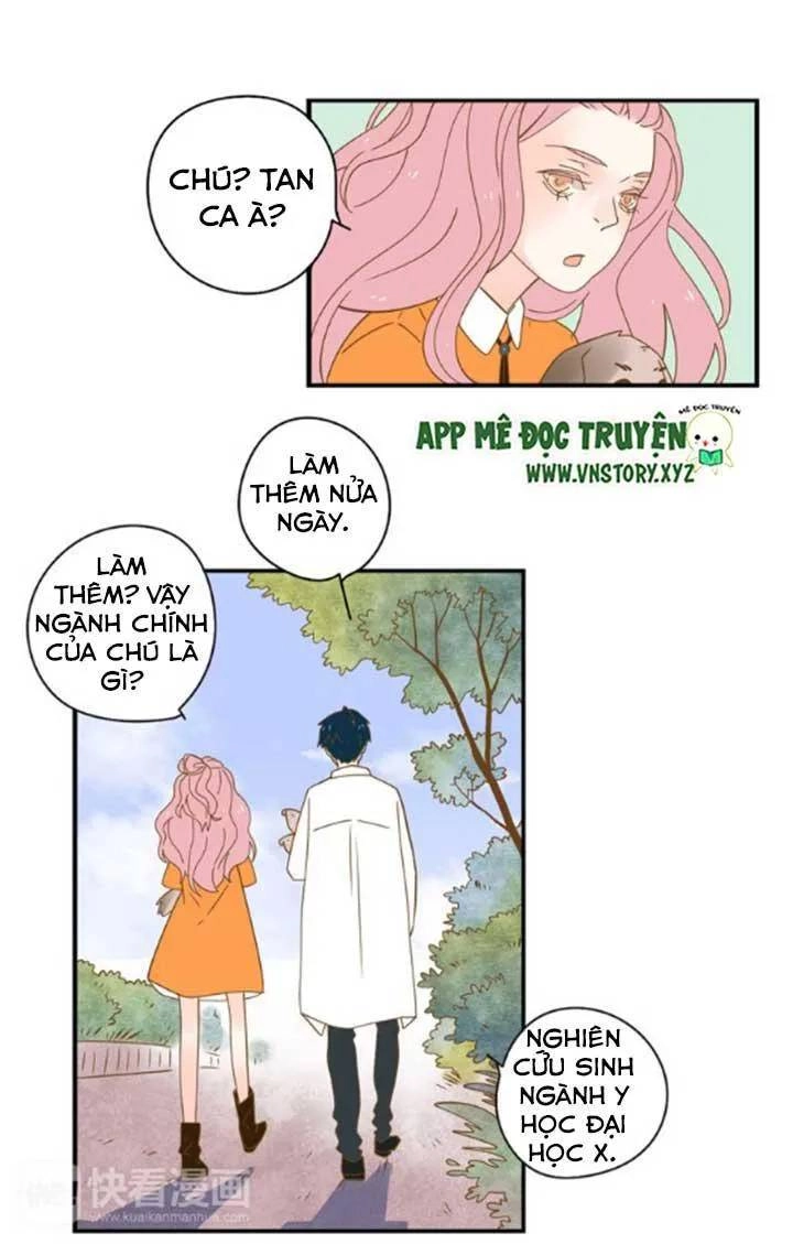 Cạm Bẫy Ngọt Ngào Chapter 24 - 31