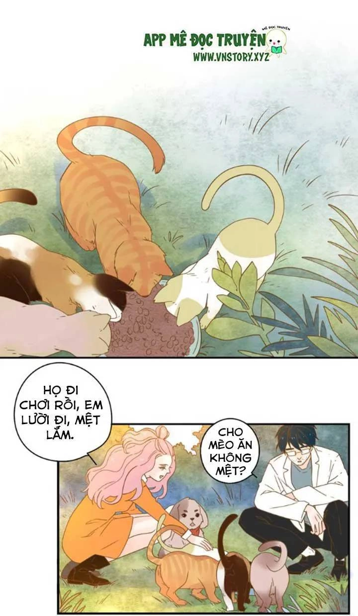 Cạm Bẫy Ngọt Ngào Chapter 24 - 33