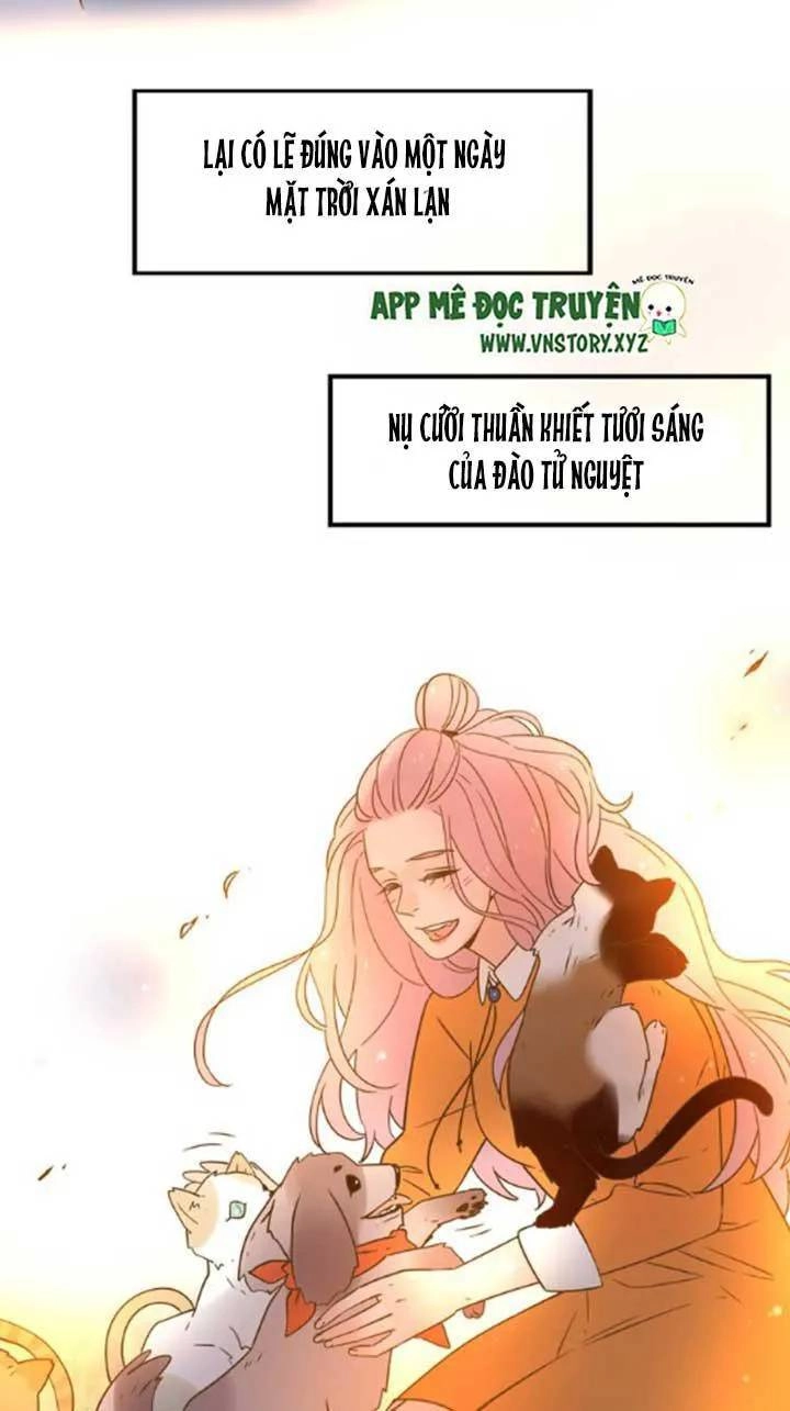 Cạm Bẫy Ngọt Ngào Chapter 24 - 42