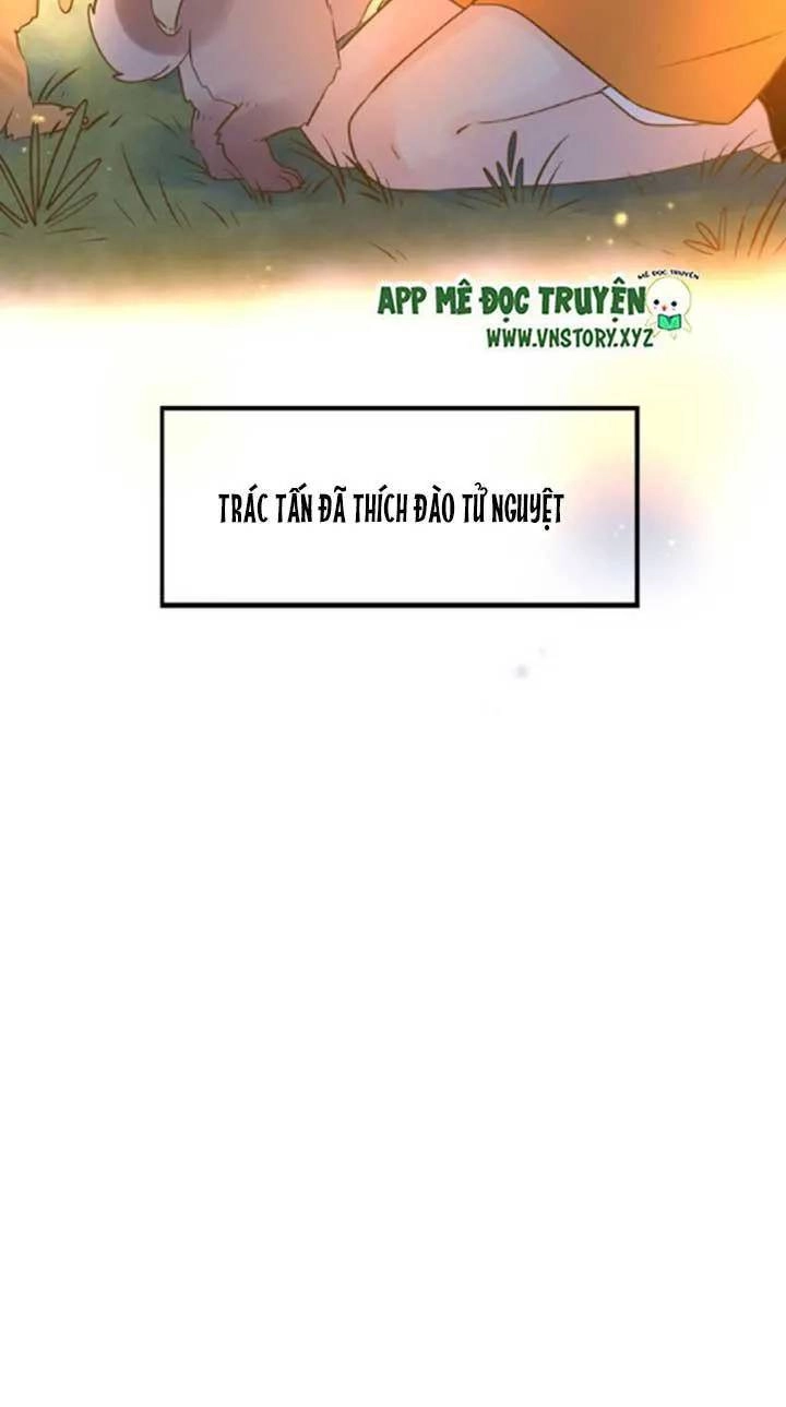 Cạm Bẫy Ngọt Ngào Chapter 24 - 43