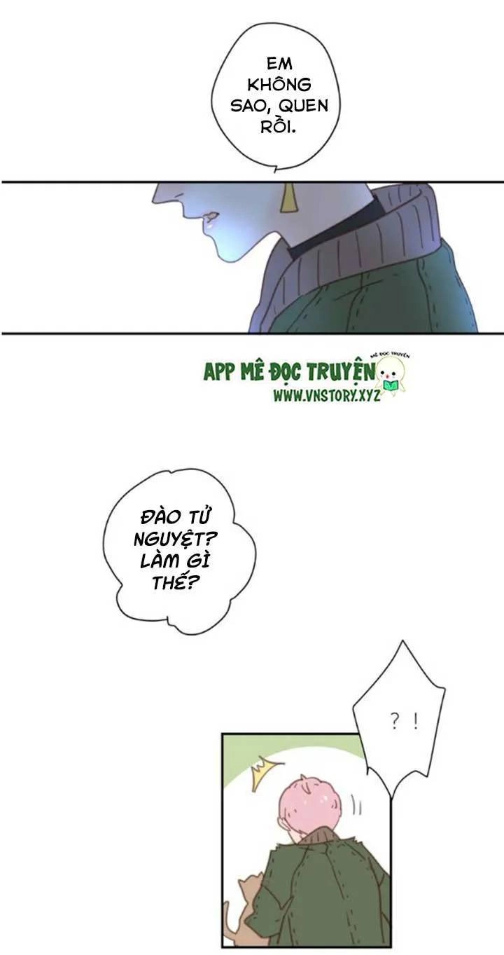 Cạm Bẫy Ngọt Ngào Chapter 33 - 22