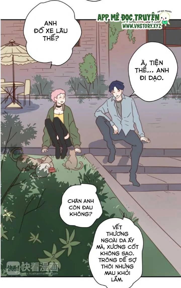 Cạm Bẫy Ngọt Ngào Chapter 33 - 24