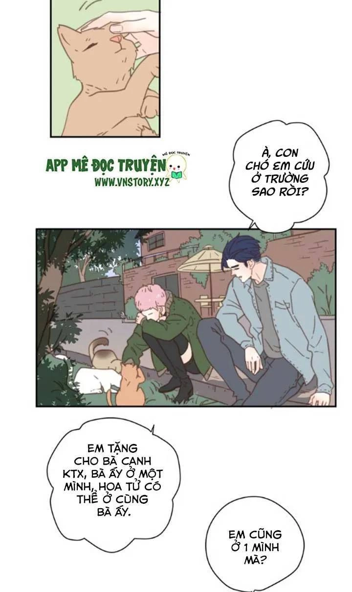 Cạm Bẫy Ngọt Ngào Chapter 33 - 26