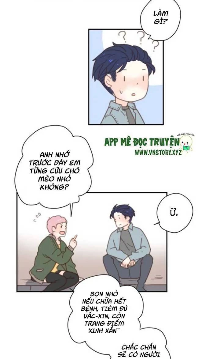 Cạm Bẫy Ngọt Ngào Chapter 33 - 28