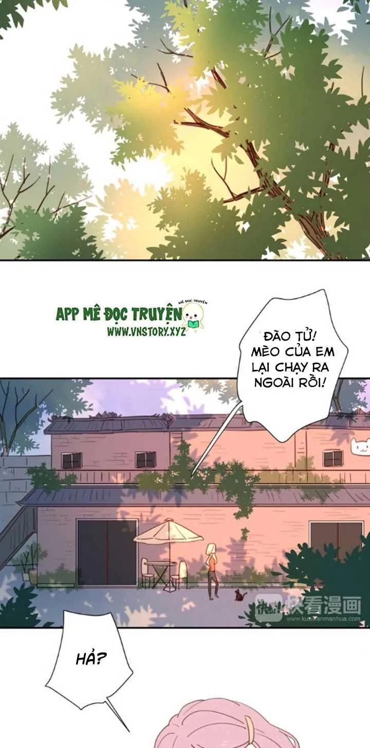 Cạm Bẫy Ngọt Ngào Chapter 35 - 58