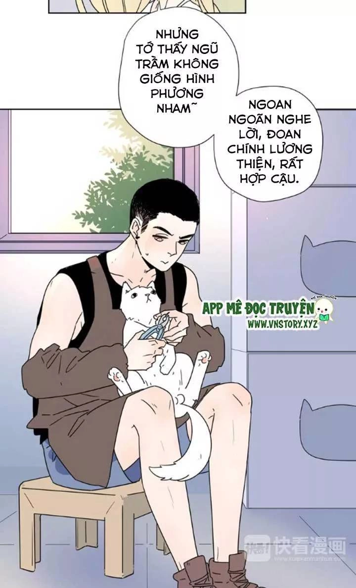 Cạm Bẫy Ngọt Ngào Chapter 49 - 25