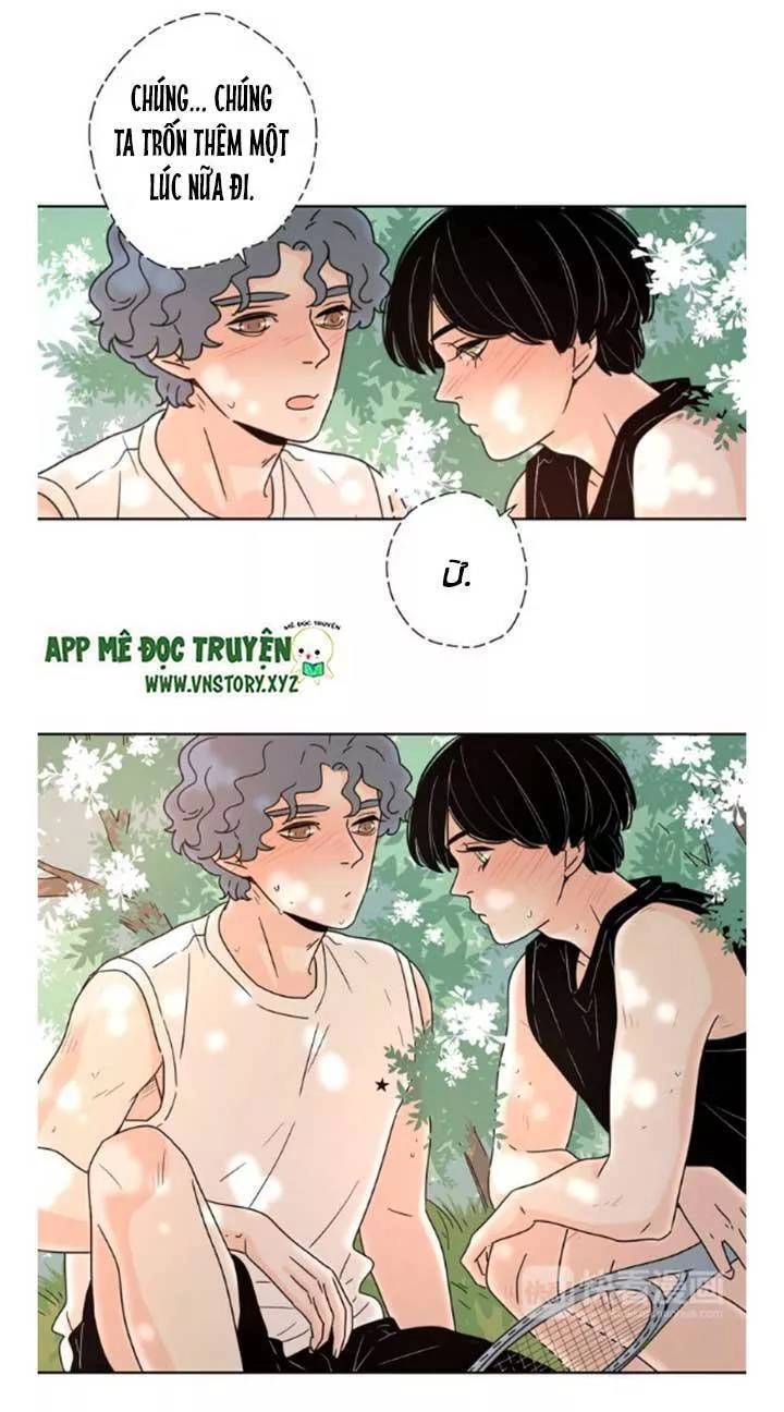 Cạm Bẫy Ngọt Ngào Chapter 50 - 17