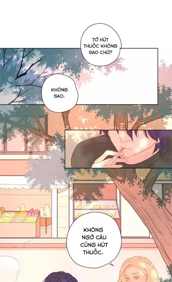 Cạm Bẫy Ngọt Ngào Chapter 74 - 37