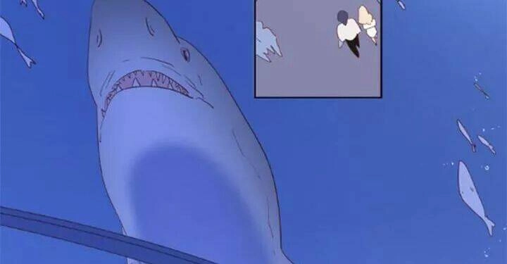 Cạm Bẫy Ngọt Ngào Chapter 85 - 37