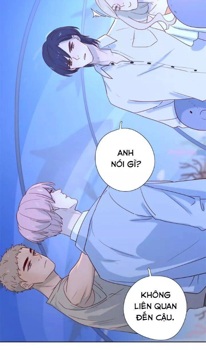 Cạm Bẫy Ngọt Ngào Chapter 86 - 28