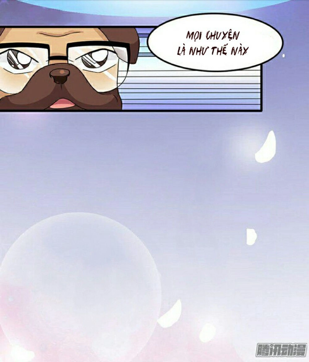 Vương Tử Nhà Tôi Là Nô Bộc Chapter 5 - 3