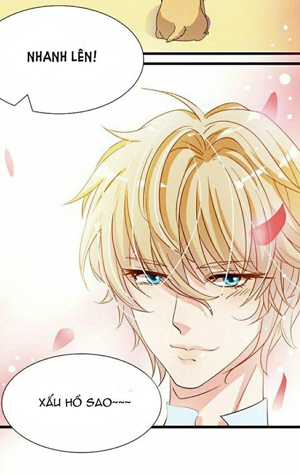 Vương Tử Nhà Tôi Là Nô Bộc Chapter 6 - 14