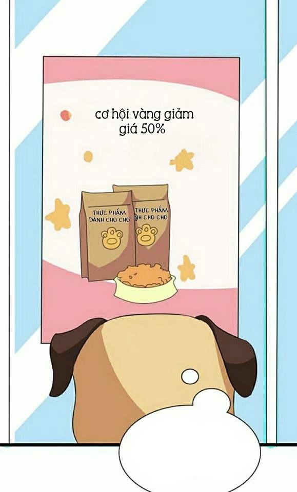 Vương Tử Nhà Tôi Là Nô Bộc Chapter 6 - 17