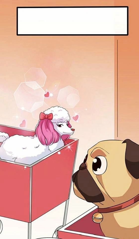 Vương Tử Nhà Tôi Là Nô Bộc Chapter 6 - 21