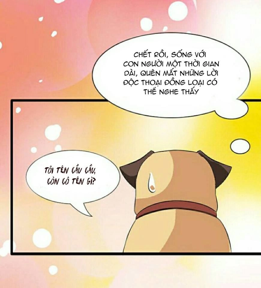 Vương Tử Nhà Tôi Là Nô Bộc Chapter 6 - 24