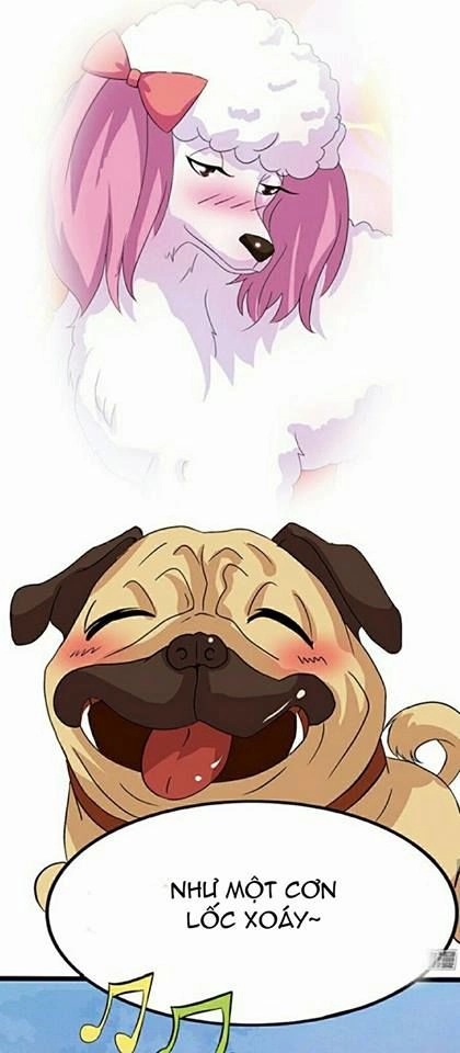 Vương Tử Nhà Tôi Là Nô Bộc Chapter 6 - 45