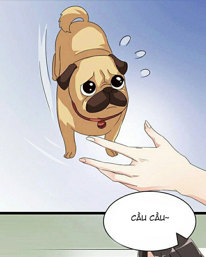 Vương Tử Nhà Tôi Là Nô Bộc Chapter 6 - 50