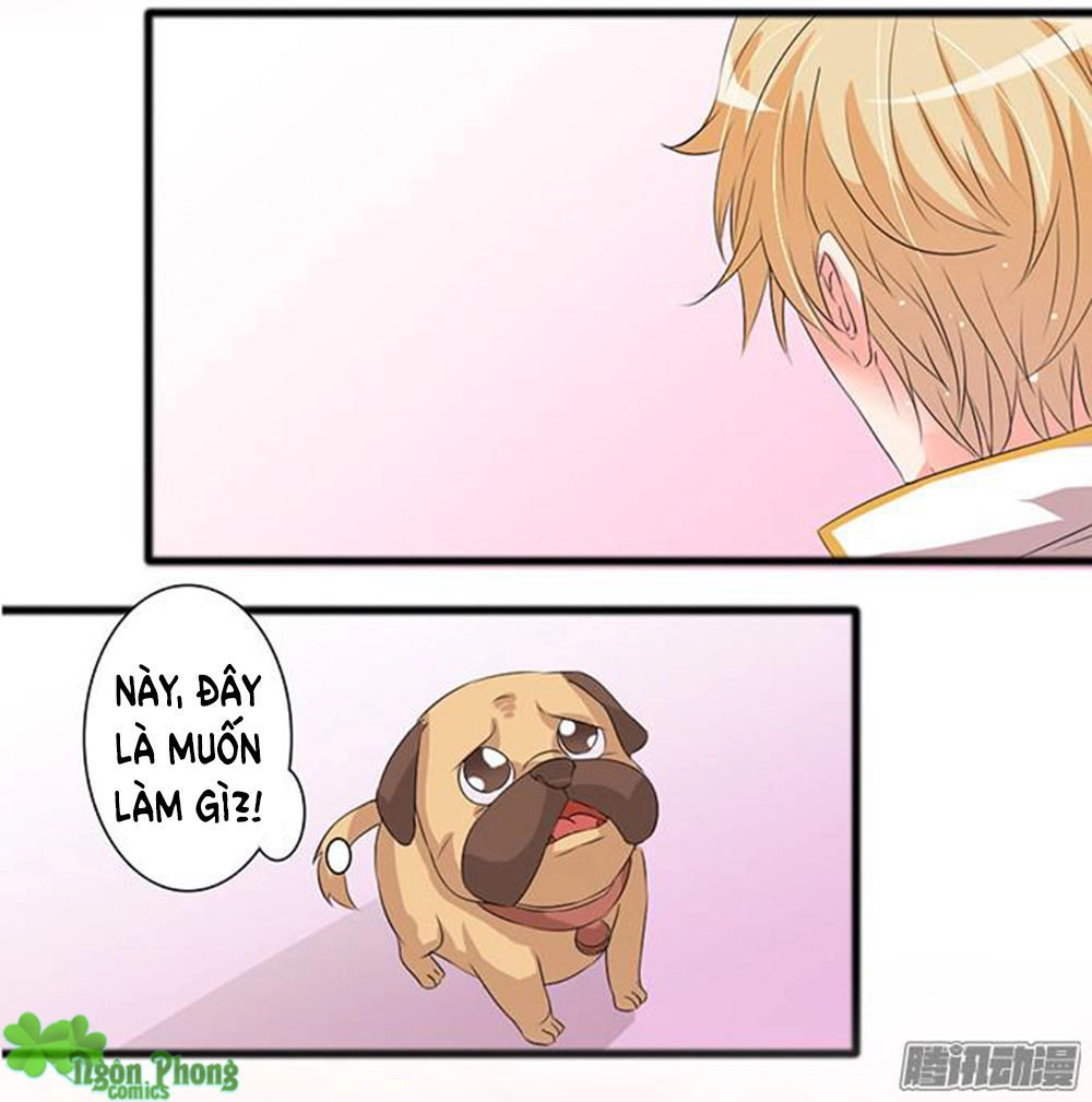 Vương Tử Nhà Tôi Là Nô Bộc Chapter 12 - 58