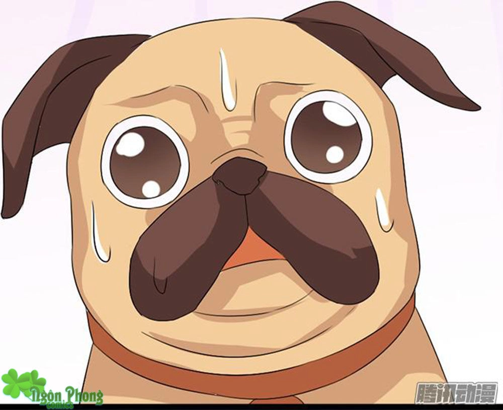 Vương Tử Nhà Tôi Là Nô Bộc Chapter 17 - 43