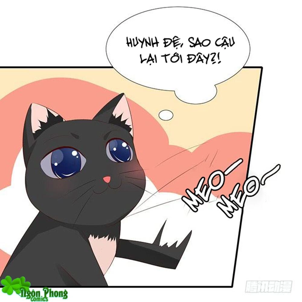 Vương Tử Nhà Tôi Là Nô Bộc Chapter 81 - 16