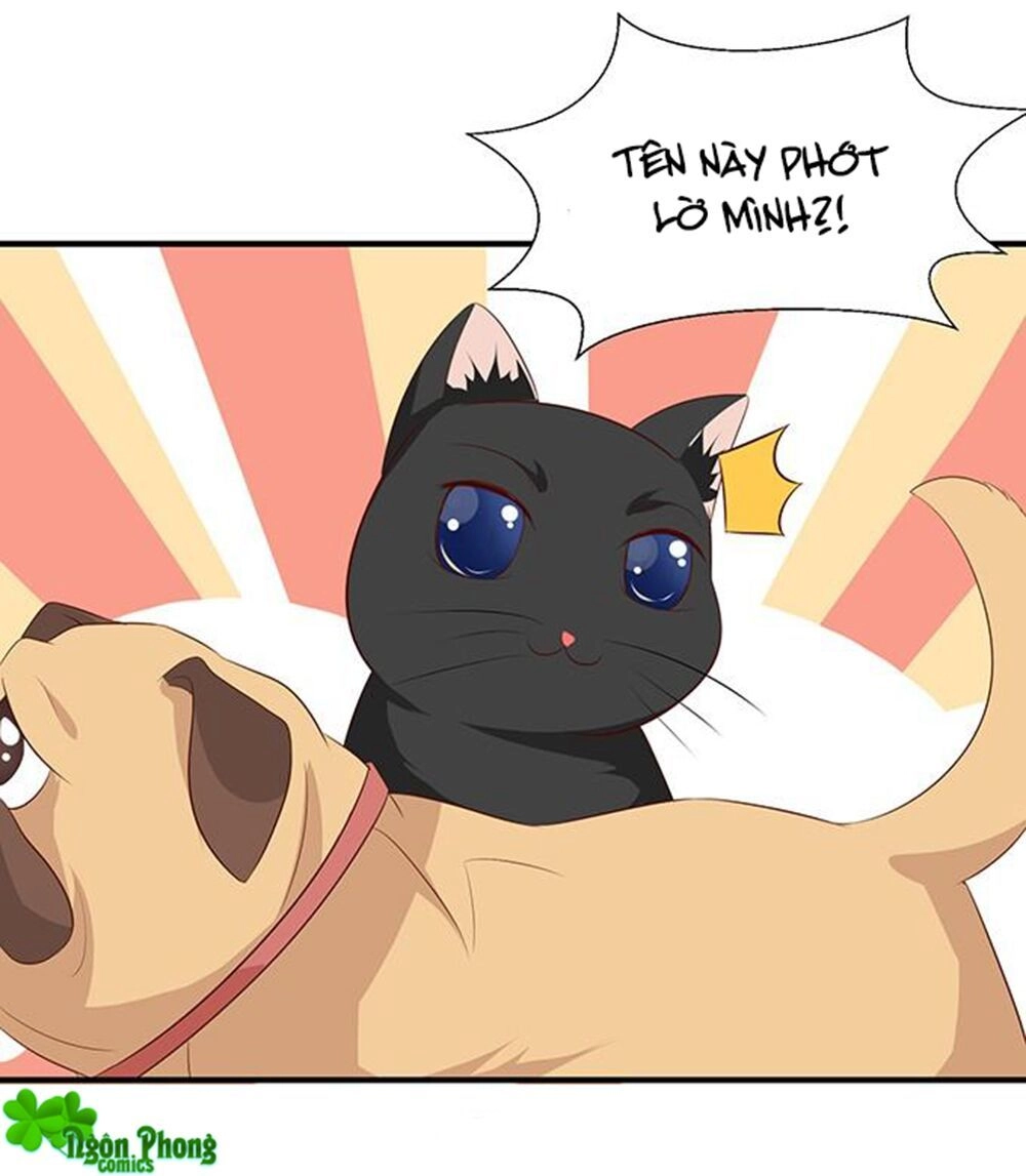 Vương Tử Nhà Tôi Là Nô Bộc Chapter 81 - 17