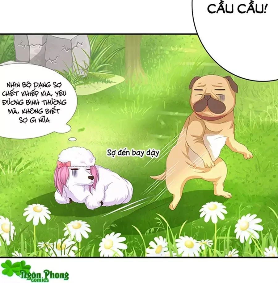 Vương Tử Nhà Tôi Là Nô Bộc Chapter 89 - 63