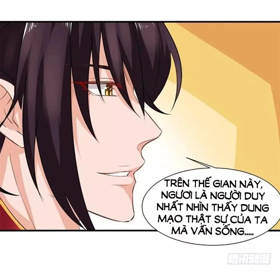 Vương Tử Nhà Tôi Là Nô Bộc Chapter 97 - 65