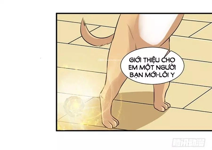 Vương Tử Nhà Tôi Là Nô Bộc Chapter 100 - 38