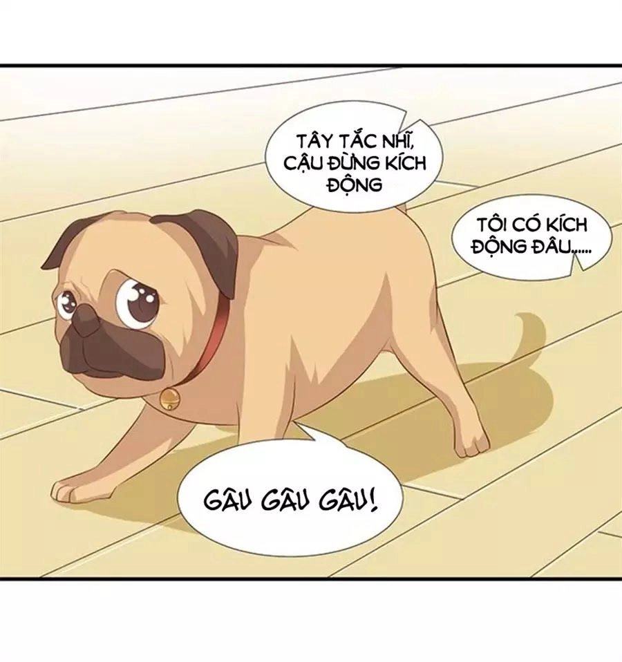 Vương Tử Nhà Tôi Là Nô Bộc Chapter 100 - 73